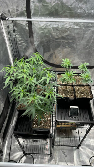 F32A3BEB-BD7E-4BF8-8715-80F173CEAFF3