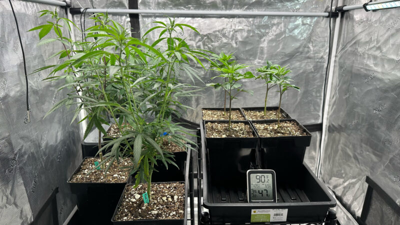 45674CF1-CF40-4094-8B94-1481B6476E57