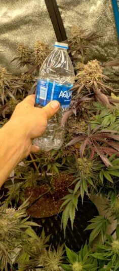 8ec5b502-f2fa-42c6-bce6-0b0e6f508d61