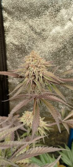 9b6bed3b-a1f6-49da-833b-ec5cb426785c