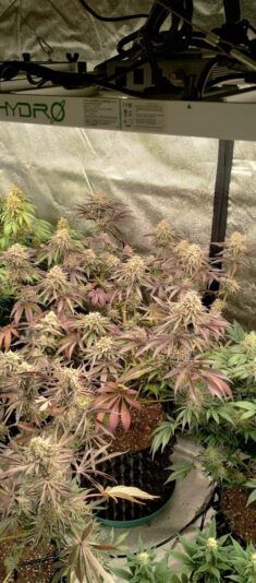 d54d4f0b-d51c-4cf7-9a08-8345228ba146