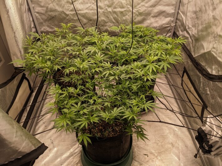 0fdc4d42-60af-4965-957b-214d2c63271f