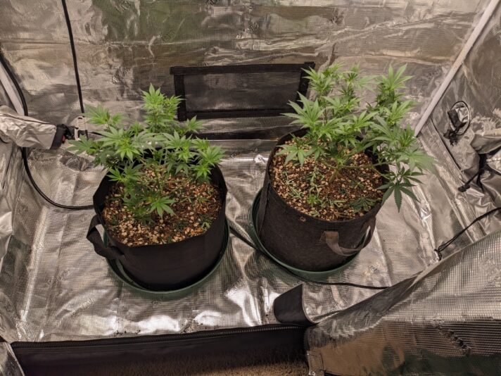 2d14a3e0-3f64-491a-bdc8-9863b9459597