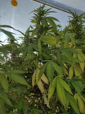 8b474857-232a-421d-9b53-48e552c5136c