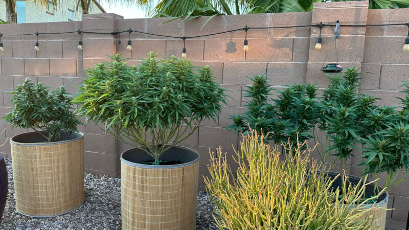 1172664C-58B3-47D0-BEE3-AC402C3319BD