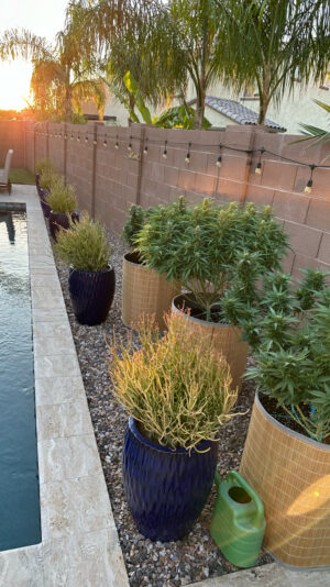 1C6D8C8E-8348-4C08-95AB-5D3D86C6BC35