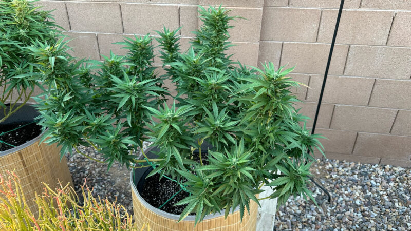 C55FFB5F-5C82-45AA-AD2F-38918453FBEA