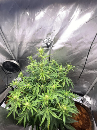 0DF19EB2-7B1C-48CF-80D3-E2EC1D6B0BE7