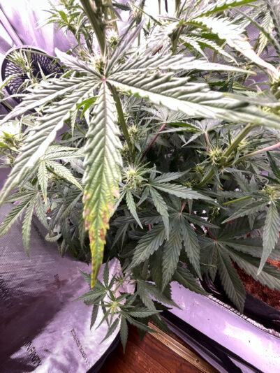 468F9198-12A2-42BE-AEAC-F90CF62C1377