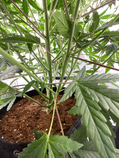 591759FF-A750-4D79-90A6-2D8B7FBB1161