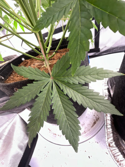 D0FD8659-B937-4785-8300-86C7DACB6749