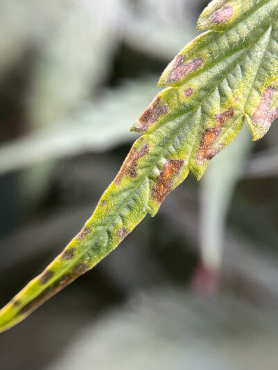 DEAF7C0F-C60C-4676-830A-82B4C5B7BB94