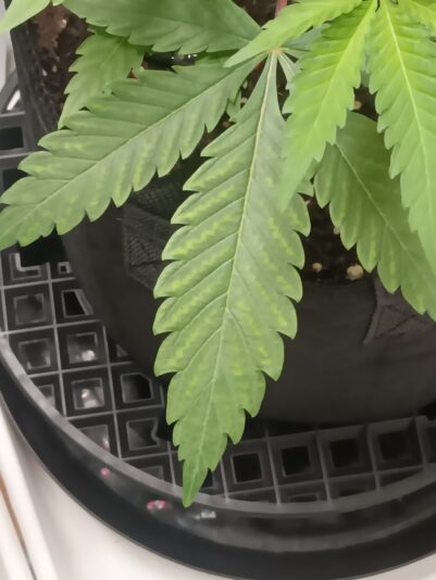 987f4331-2497-4dc8-b352-8769ad00270d