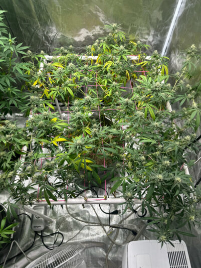 D3805244-1150-4DA5-A2AB-DD70DCAB279C