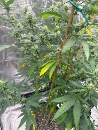 101AB9D5-ECD3-41EE-A0BB-2967D093D020