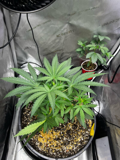 C8386FD5-585F-42B7-8D0E-437C13EE1BE4