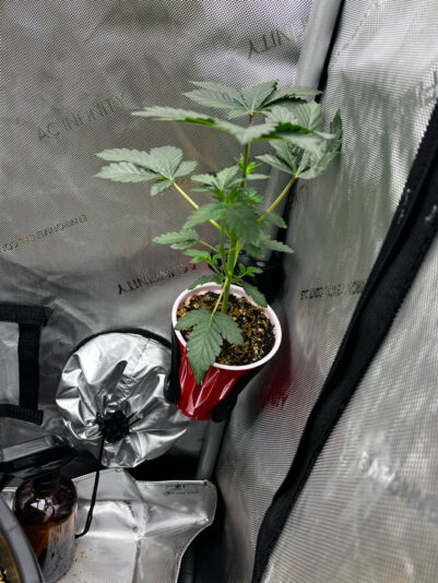 BF7DEAFF-EC7E-43B8-AF28-D012E1BD4A58