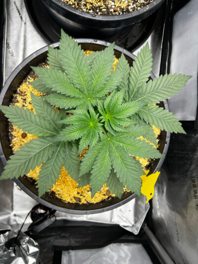 E362C1F3-D4A8-4105-A2DC-DC30DF42EF78