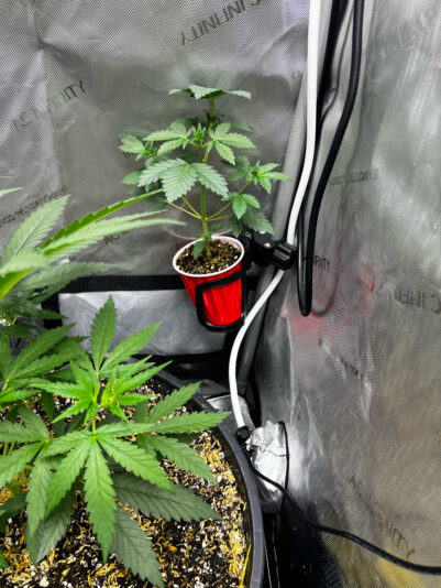 D8AABBEB-CBD5-42E0-B2ED-5D2509585913