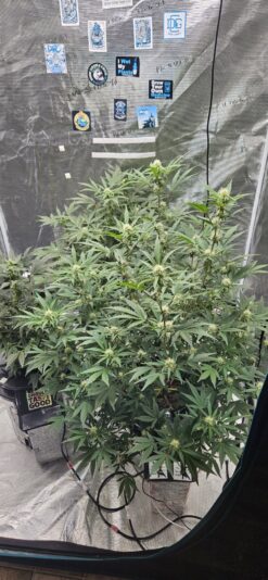 577f4999-3a7c-43ac-a98c-1e2627b32f3e