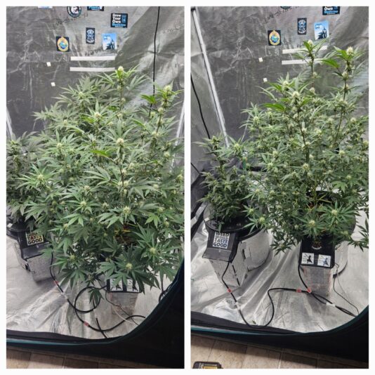 92887c80-6326-4861-be92-6f9411212118