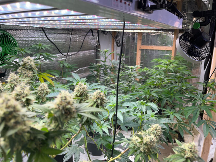 24C81811-3254-4F10-BECD-D1ECC829FE76