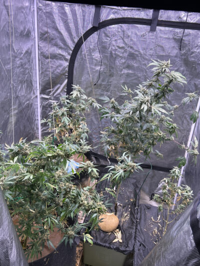 8B1CAC96-6313-4639-8239-E70537C18D48