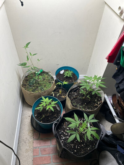 896EB8F7-3B25-404A-93F1-16EDBBE8B4F8