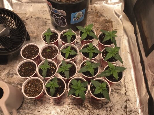 81EB7852-3321-4D18-9E6F-FC5060D799F4