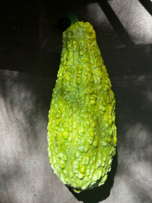 7D1F6E87-24E4-4083-9D1F-A55B3D7007D8