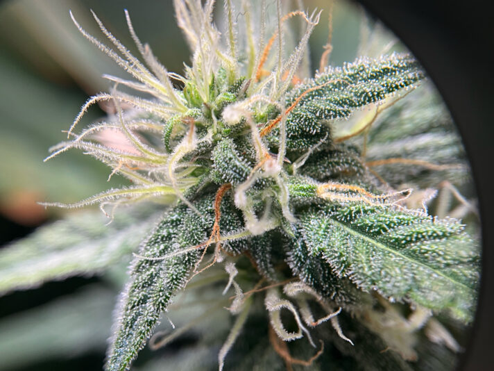 0D516FE7-7E4C-4A08-A5B4-70A80ED90422