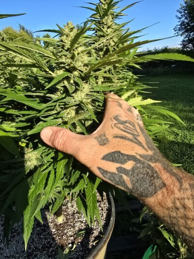 3651838c-65aa-4d64-a9a8-5a930d1592e9