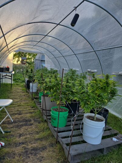 964ef6b2-febe-4c95-ac07-76447801f100