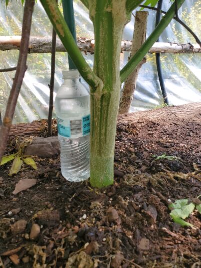 70f92a26-a436-4cd3-ad63-98907b4d7529