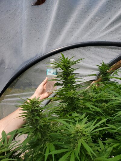 1fa57261-3a14-493b-9e68-befc0d94f6ba