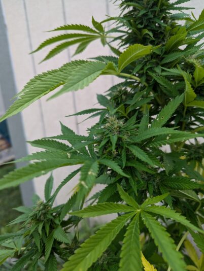 47336e13-7399-4e90-a5d0-11109ae0e9a8