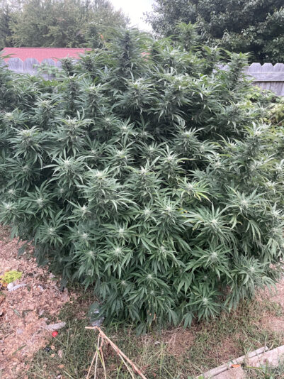 5A178668-480B-4127-A281-A740DBB5F11D