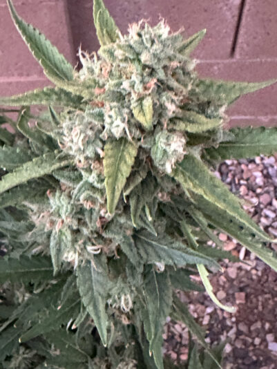 F747187A-F126-444C-8E34-307FCD125C9D