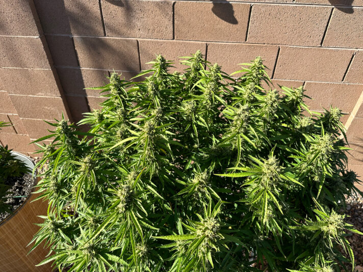 3F8F3A1B-F66D-4E59-B401-A70E0341AB40