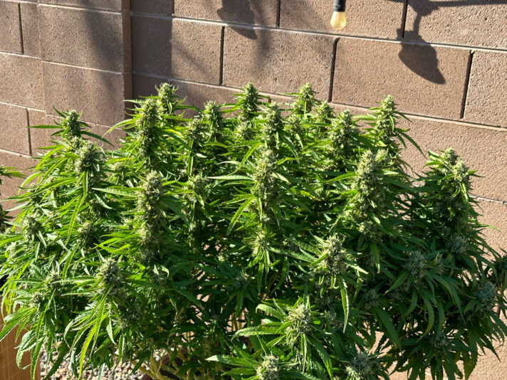 5A9160E0-A3C7-4176-9D9B-4B2EF79DE81A