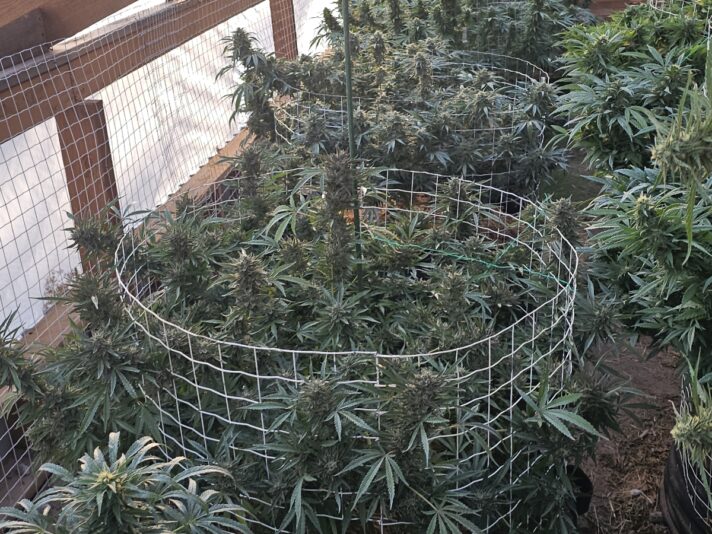 8cd19327-1783-4282-bc4c-8d0565110b7f