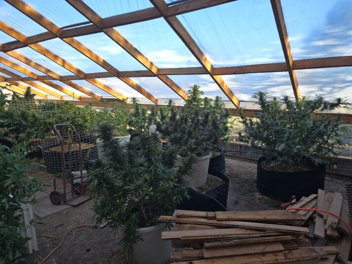 d82e0512-c2f1-4aa1-8a6a-db6824e12f6a