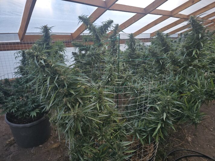 fe3e3571-6ce1-4912-b052-b065339499b7