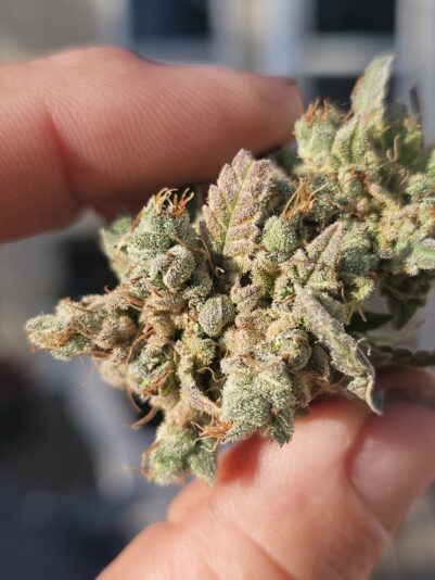 e6cfeabe-a3d9-48ee-98e8-90a4cee0a65b