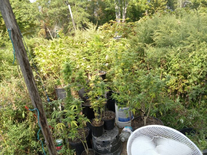 161fd26b-b905-47a7-8539-ea196db7d4b1