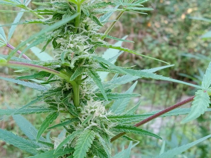 8fcba8d8-3c3e-4597-90dc-1c807b641496