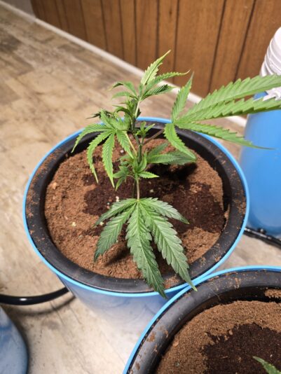 521fdfaa-c857-4b73-bd5c-7a3588235501