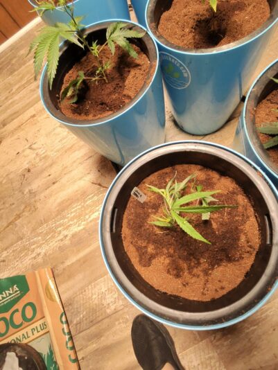 54426fcb-4cb3-4dd3-bbcb-8524c3675074