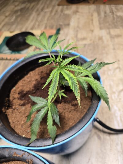 883f9e70-7981-4cd6-b125-dafb97c120c7