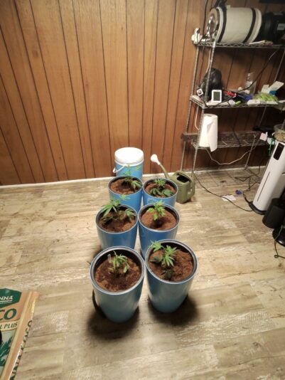 db52dbe5-59f7-4b67-bfd4-5e6c4f59ca37